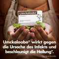 UMCKALOABO 20 mg Filmtabletten