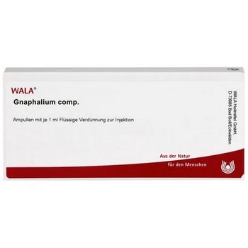 GNAPHALIUM COMP.Ampullen
