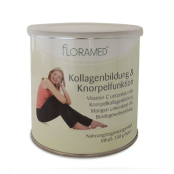 KOLLAGENBILDUNG & Knorpelfunktion Pulver